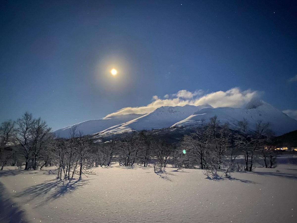 Cozy Fjord Retreat With Firepit And Activities Apartman Tromsø Kültér fotó