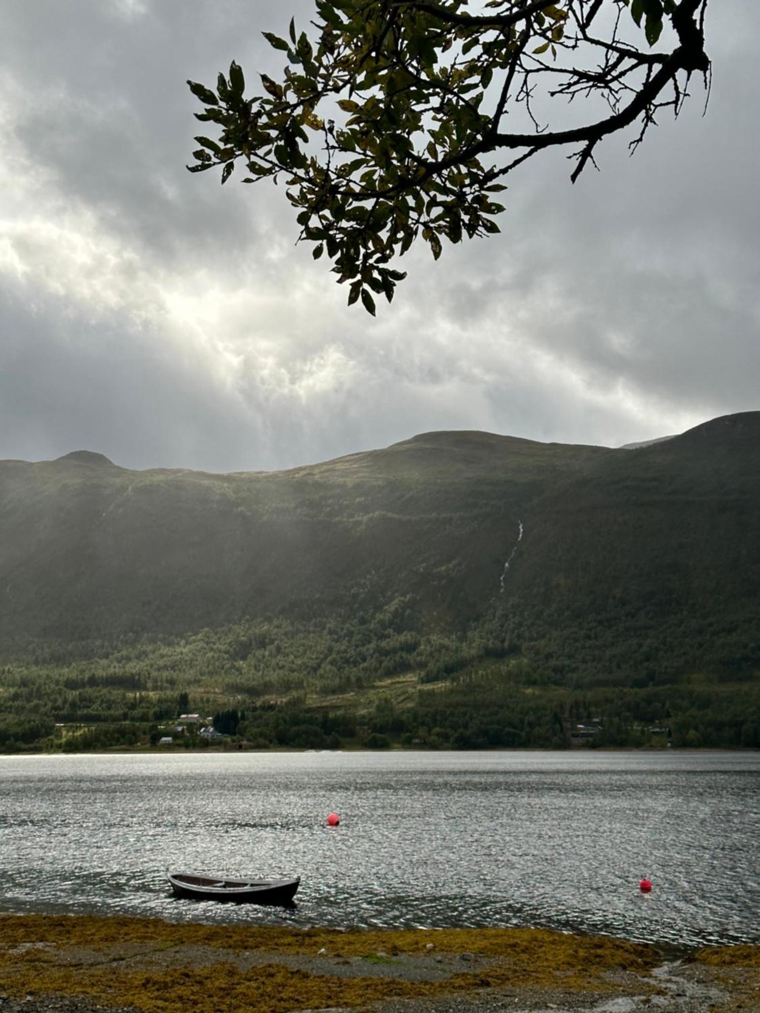 Cozy Fjord Retreat With Firepit And Activities Apartman Tromsø Kültér fotó